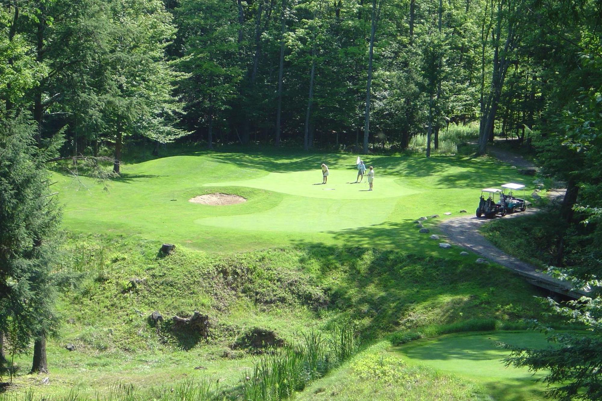Caberfae Peaks Ski & Golf Resort Harrietta Екстер'єр фото
